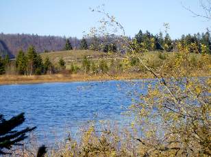 Lac et tourbires de Malpas, les prs Partot et le bief Belin