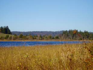 Lac et tourbires de Malpas, les prs Partot et le bief Belin