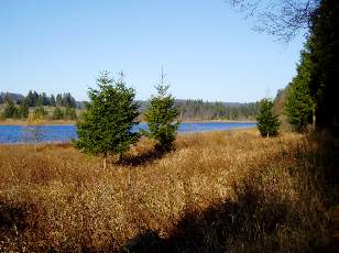 Lac et tourbires de Malpas, les prs Partot et le bief Belin