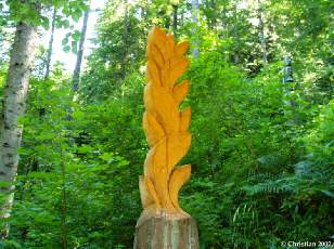 Feuilles dco 2006