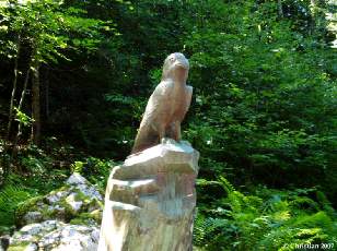 Corbeau 2001