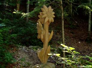 Edelweiss 1999