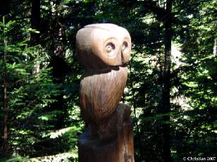 Chouette Janus 1985