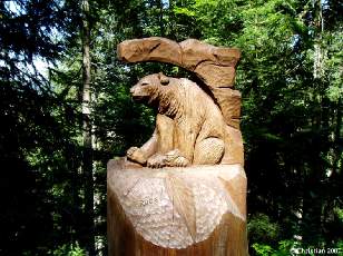 Petit ours 2003