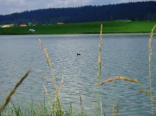 Le lac des Taillères