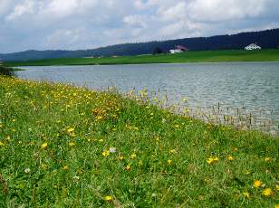 Le lac des Taillères