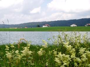 Le lac des Taillères