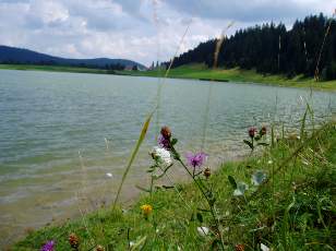 Le lac des Taillères