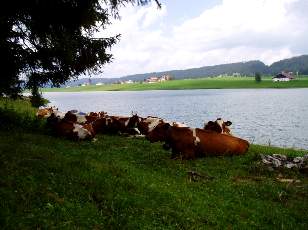 Le lac des Taillères