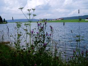 Le lac des Taillères