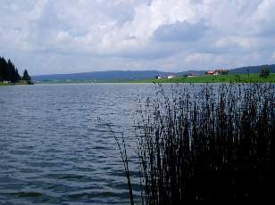 Le lac des Taillères