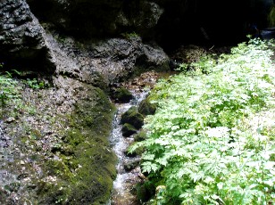 Gorges de la Poëta-Raisse