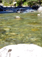 Magie et Beauté de la Nature au Pont d'Espagne !