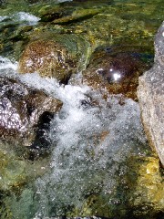 Magie et Beauté de la Nature au Pont d'Espagne !
