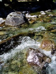 Magie et Beauté de la Nature au Pont d'Espagne !